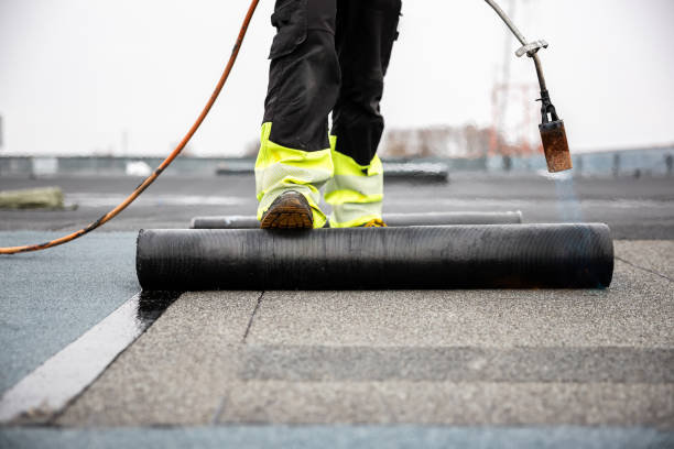 Best Asphalt Shingles Roofing  in Sargent, TX