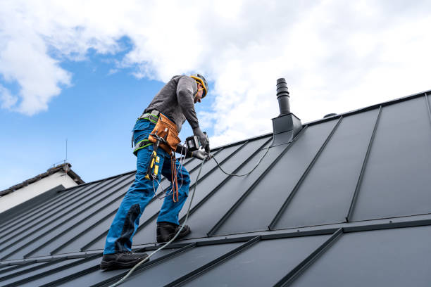 Best Skylight Installation and Repair  in Sargent, TX